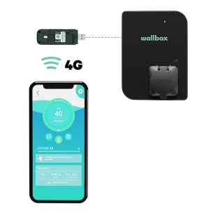 Wallbox - Accessorio Mobile Connectivity: Modem USB 3G/4G